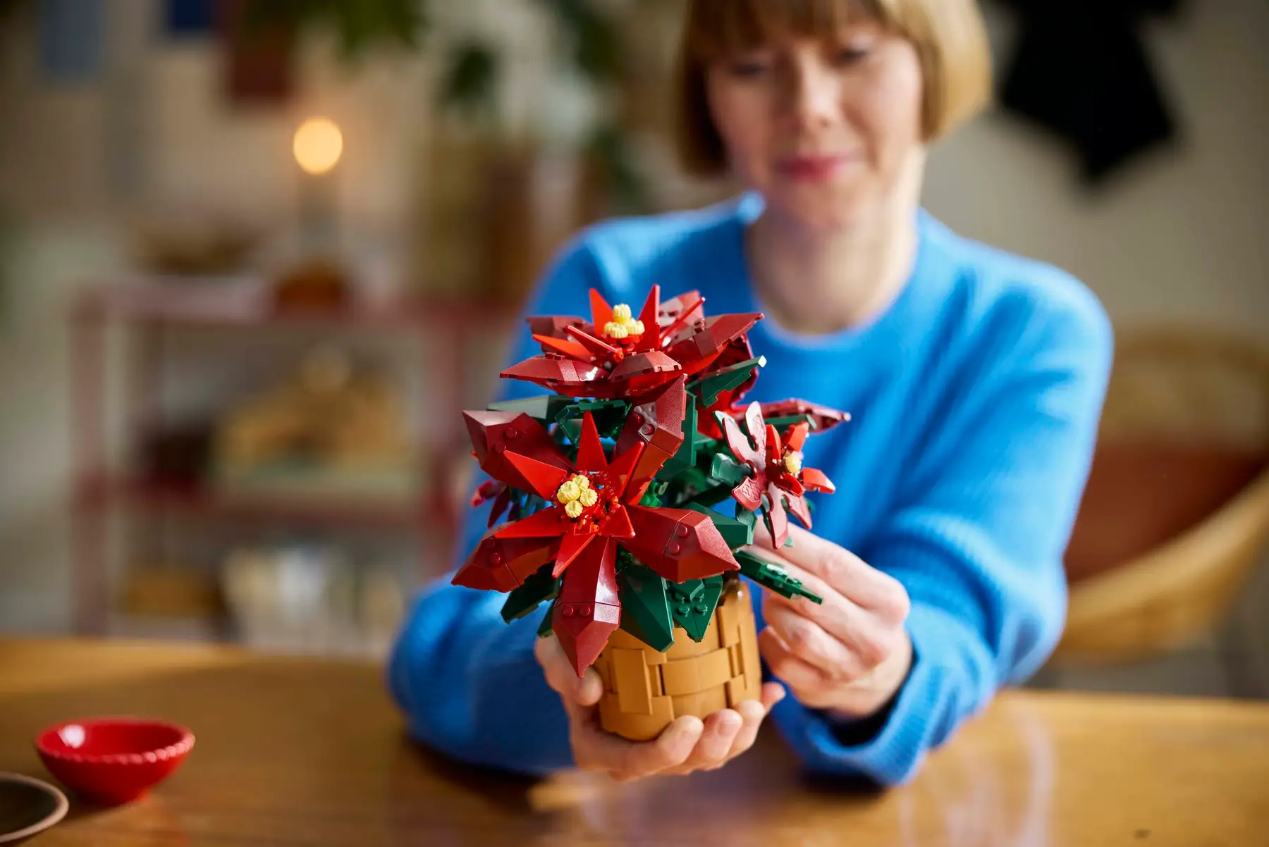交換禮物 聖誕節 花卉 植物 居家擺飾 節慶 18+ 花藝 盆栽 Poinsettia